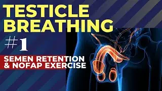 Testicle Breathing - #1 Semen Retention & NoFap exercise (Cool Draw)