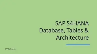 SAP S4HANA Database, Tables and Architecture