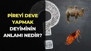 Pireyi Deve Yapmak Deyiminin Anlamı Nedir? Kısaca Açıklaması ve Örnek Cümlede Kullanımı