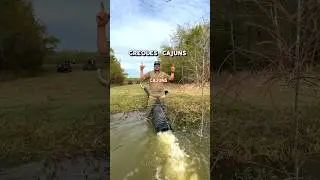 🦞 CAJUNS & CREOLES | What’s the difference?