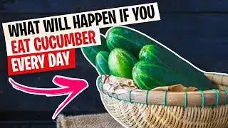 10 Health Benefits of Eating Cucumber that you've never heard of