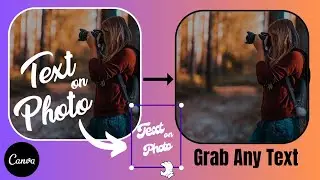 Canva Magic Grab Text | Grab Any Text from Images in 1 Click 🔥🔥