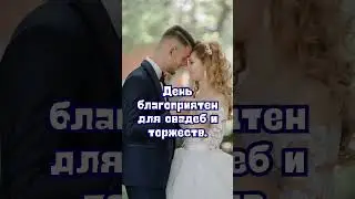 9 августа народные приметы. Приметы 9 августа. 9 августа именины  #народныеприметы  #приметы