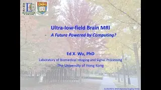 BrainMap: Ultra-low-field MRI for Healthcare: A future powered by computing?