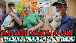 Выпавший однажды из окна передан в руки прекрасной семьи! | Чуня