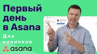 Как использовать Asana в течение дня