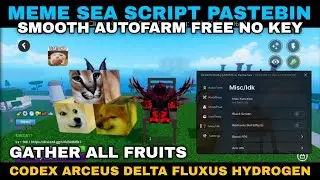 [UPDATE 4] Meme Sea Script Pastebin Latest Version ElgatoHub Free for Android & PC No Key-System