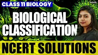 Biological Classification | Class 11 Biology | NCERT Solutions