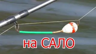 Рыбалка на реке на сало и пенопласт   Ловля на пружины. My fishing