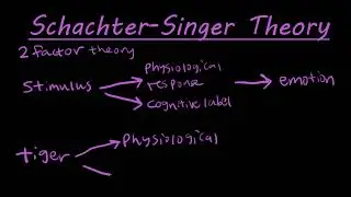 The Schachter-Singer two factor theory of emotion explained