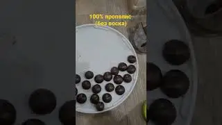 Качественный ПРОПОЛИС