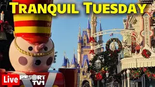 🔴Live: Tranquil Tuesday - A Magic Kingdom Holiday Afternoon - Walt Disney World Live Stream