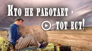 Кто не работает - тот ест!  Смешное видео