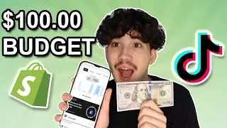 Trying Shopify Dropshipping With Only $100 Using TikTok Ads