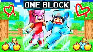 Surviving ONE LOCKED BLOCK With SHIN AMY SONIC and CRAZY FAN GIRLS!