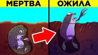 Самые Поразительные Животные В Мире