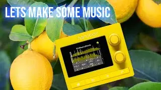 Let's Make A Song // 1010music Lemondrop