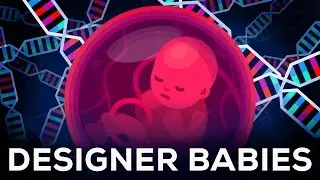 Genetic Engineering Will Change Everything Forever – CRISPR