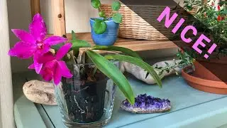 Unboxing a Tiny Splash of Colour