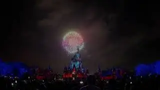 Happily Ever After - Castle Hub View 2024