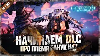 НАЧИНАЕМ DLC ПРО ПЛЕМЯ БАНУК 🦉 Horizon Zero Dawn: Complete Edition #47