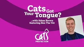 Cats Got Your Tongue? podcast with Ben The Vet 🐱🎙️ Expert advice