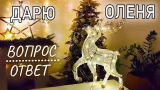 Олень из Проволоки своими руками. ВОПРОС - ОТВЕТ. КОНКУРС! Как украсить комнату к новому году.