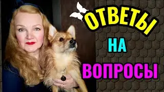 Ответы на вопросы: собачка, восстановление волос после выпадения и краска для ремонта