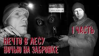 Нечто в лесу. Ночью на заброшке. (1 часть)