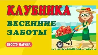 Уход за клубникой весной. Важно это сделать для хорошего урожая.