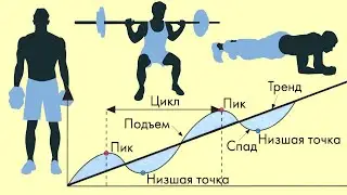 Почему нужно Обязательно проводить Периодизацию нагрузки