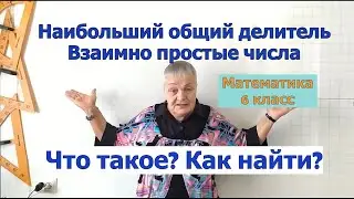 Наибольший общий делитель (НОД). Взаимно простые числа. Математика 6 класс.