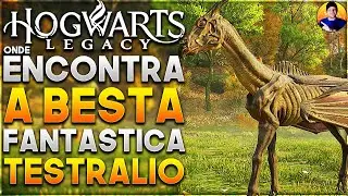 Hogwarts Legacy Onde Encontrar a Besta Fantástica o Testrálio