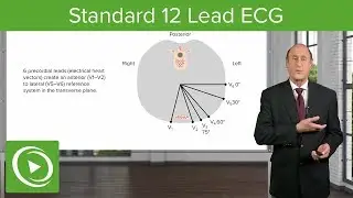 Standard 12 Lead ECG - Cardiology  | Lecturio