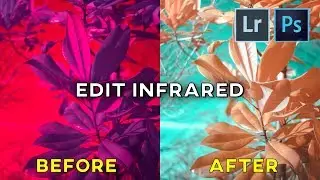 How to Edit Infrared Photos in Lightroom and Photoshop