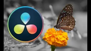 How to Separate a color in Davinci Resolve 18