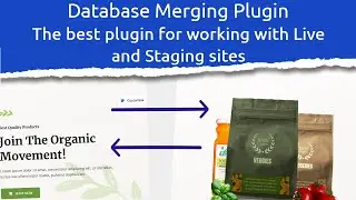 The Best Way to Work with WordPress Staging Environment - Database Merging Plugin