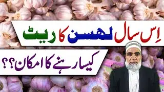 What is expected Rate of Garlic during Next few months || Crop Reformer