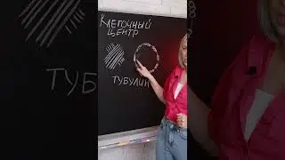 Клеточный центр