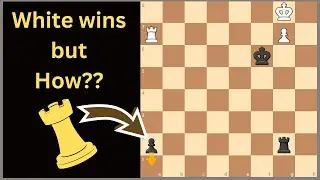 Odd Chess Puzzle that Needs to be Solved 