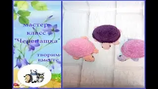 МК черепашка (по имени Наташка)