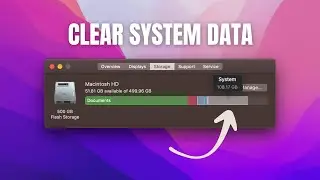 Why is My Mac System Storage More than 100GB? (2023)