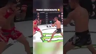 Best knockouts ever in MMA