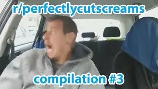 r/PerfectlyCutScreams Perfectly Cut Screams Compilation #3