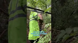 Здесь захоронена Рогнеда... 