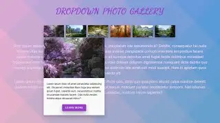 How To Create Animated Dropdown Image Gallery Using HTML and CSS