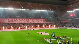 LOSC Lille vs RC Lens (Derby du Nord) ('nous sommes les dogues')