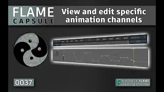 Flame Capsule 037 - View and edit specific animation channels - Flame 2021.2.1