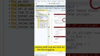 Debug ABAP   