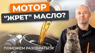 Почему ваш двигатель 